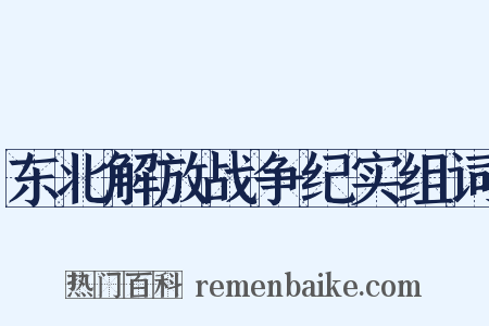 东北解放战争纪实组词是什么意思的图片